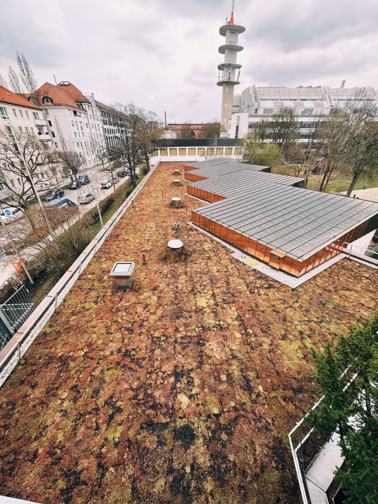 Begrünte Dachlandschaft mit Pflanzen und Solarpanels in einer Stadt.